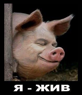 Прикрепленное изображение: GyHu.jpg